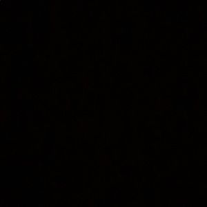 Meet your Posher, Stella